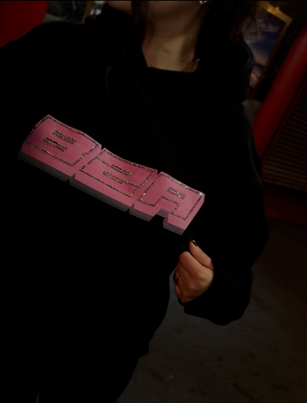 City2City Hoodie back